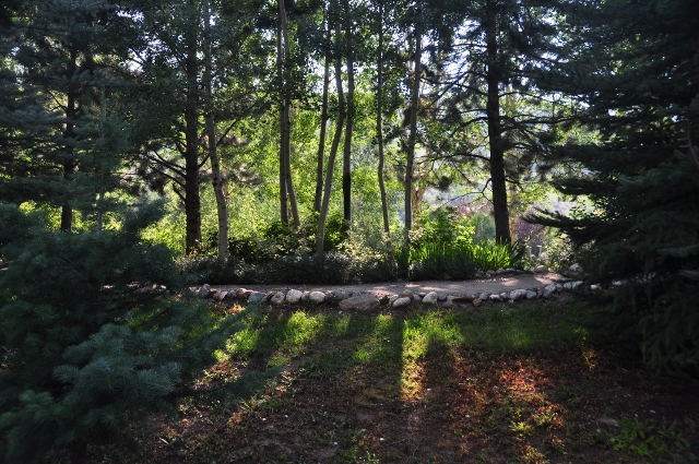 the gardens at Yama River Botanic Park. 